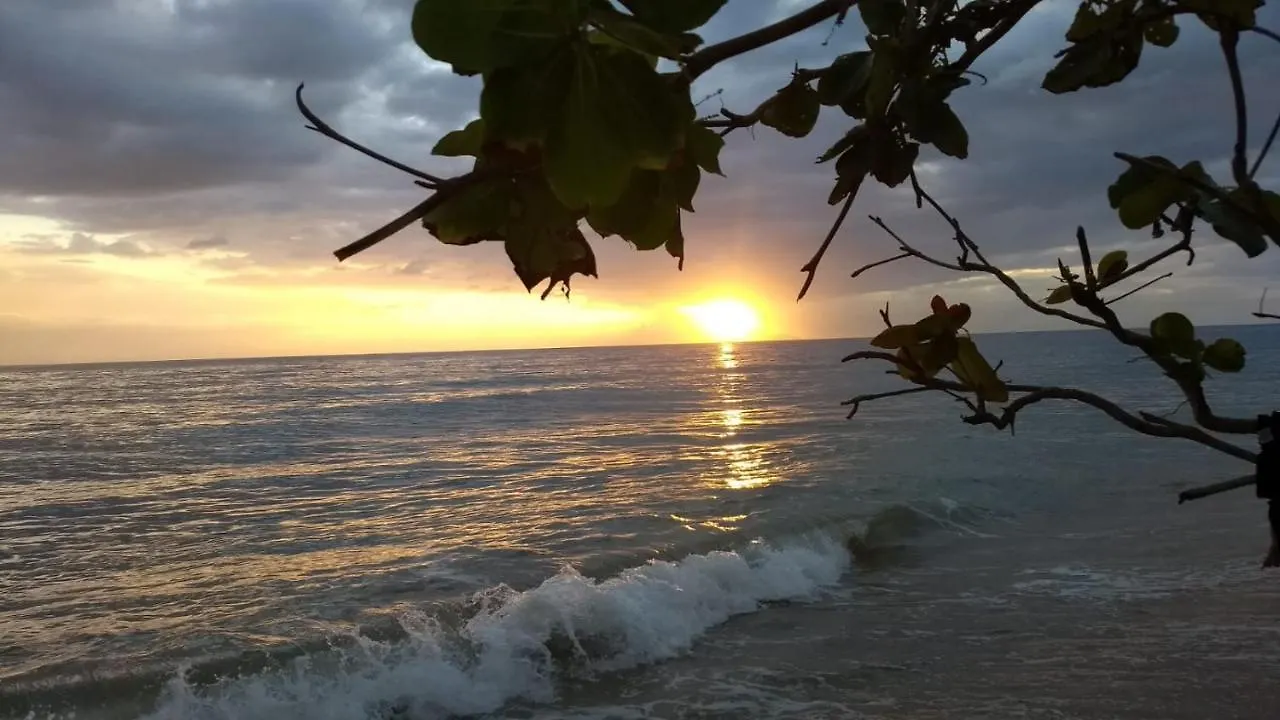Brisas Del Mar 1/1 Front Beach Apartment Rincon Puerto Rico